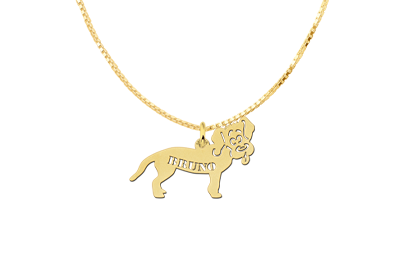 Gouden hanger hond2 Gouden hanger hond2